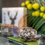 Guest house Fruehstueckspension Maier 3*