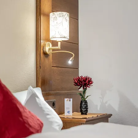 Fruehstueckspension Maier 索尔登