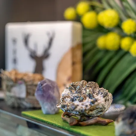 招待所 Fruehstueckspension Maier 3*