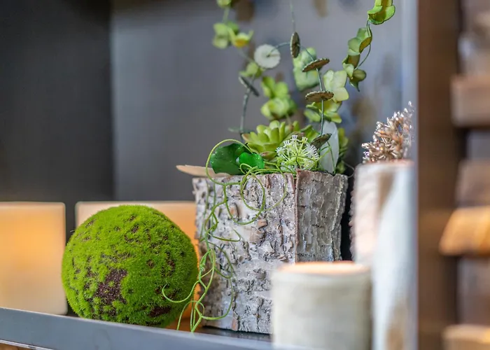 Fruehstueckspension Maier Зёльден